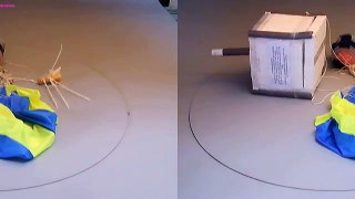 High Altitude Balloon Payload (Space Camera Live 1) in Stereo 3D