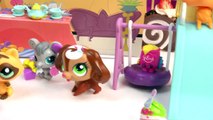 LPS We Love To Party Playset Bobbleheads Set Littlest Pet Shpo Shopkins Disney Ariel Toy U