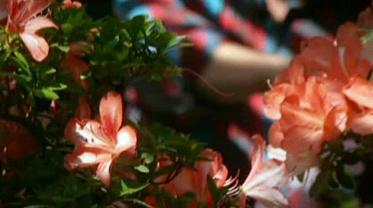 How We Won The War  E05 - The Midlands