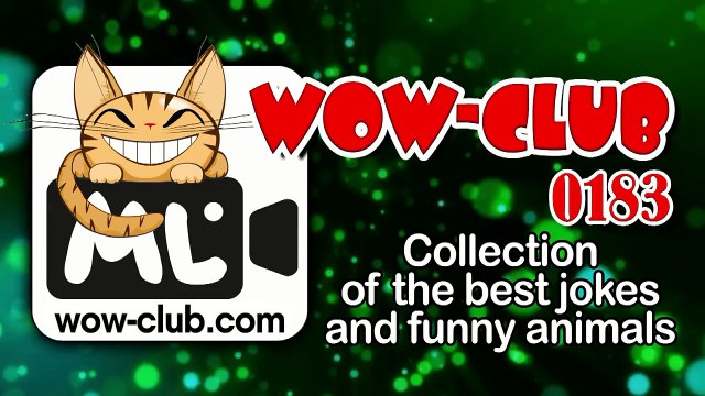 The Best Jokes and Funny Animals Compilation WOW-club #0191