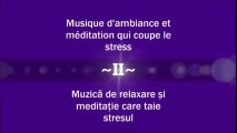 Musique d’ambiance et meditation qui coupe le stress - Muzică de relaxare și meditație care taie stresul ( Partea a II-a )
