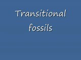 Transitional fossils