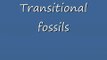 Transitional fossils