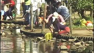 満開！しょうぶ苑の一日（東京東村山）