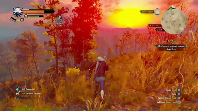 THE WITCHER 3 WALKTHROUGH PART 163 - ROYAL WYVERN, PHANTOM OF THE TRADE & MASTER ARMORERS