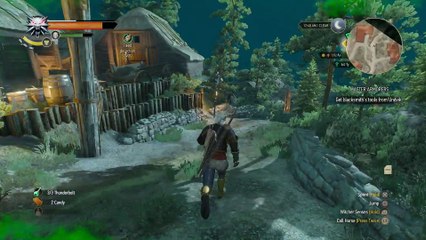 THE WITCHER 3 WALKTHROUGH PART 164 - MASTER ARMORERS