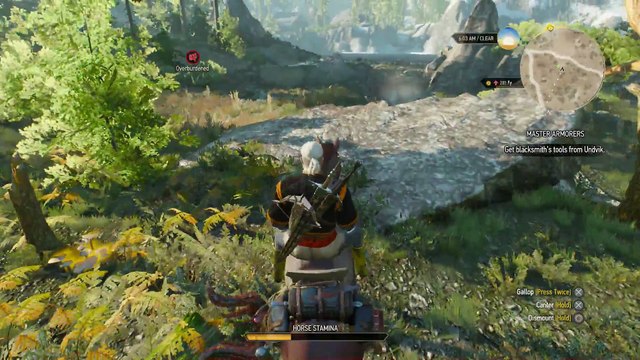 THE WITCHER 3 WALKTHROUGH PART 165 - MASTER ARMORERS & THE LORD OF UNDVIK