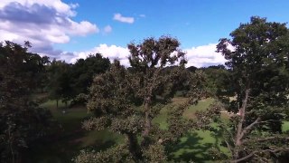 Bebop Drone in Wansted Park London