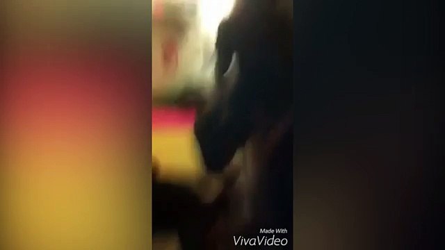 Tampa suffering from 'spice drug' problem as dozens of people are overdosing