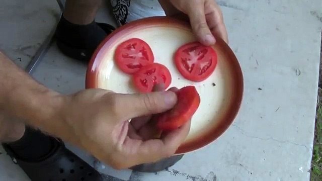 Una piantina di pomodori fatta in casa: ecco come riuscirci senza spendere niente!