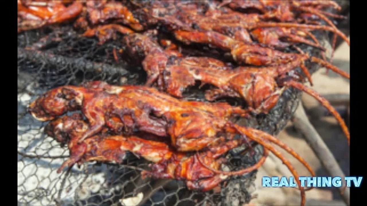 Million Pounds Of Rat Meat Being Sold As Boneless Chicken Wings In U.S