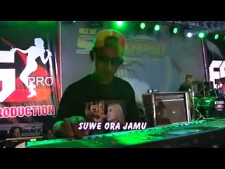 SUWE ORA JAMU - SINTA ARSINTA - Album New Scorpio Reggae Jandhut Ra Kuat mbok - vol 5 2016