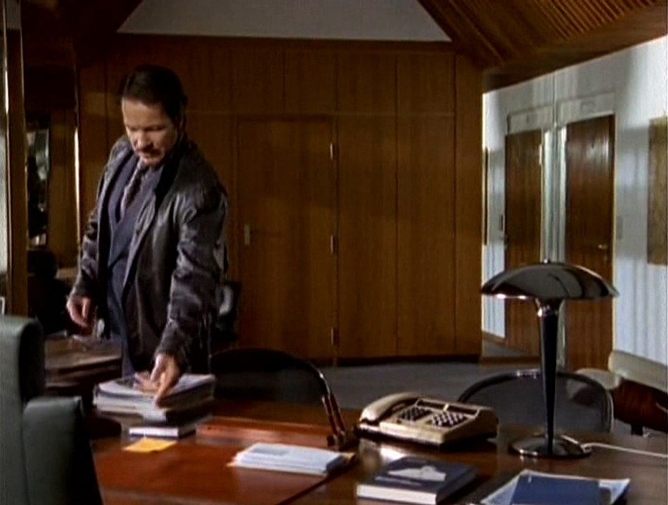 Das Schwein - Eine deutsche Karriere II  1995