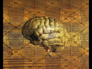 POETAS EN PAÑALES - POEMA DE VERANO BRISAS