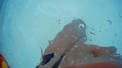 Cobra waterslide, Siam Park, Tenerife