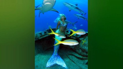 Genuine Mermaid Proofs! - Mermaids Are Real! 2016