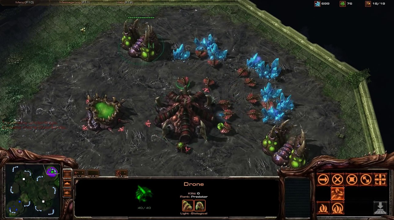 Beginners Zerg Guide and Tutorial - StarCraft 2 Strategy 1 3
