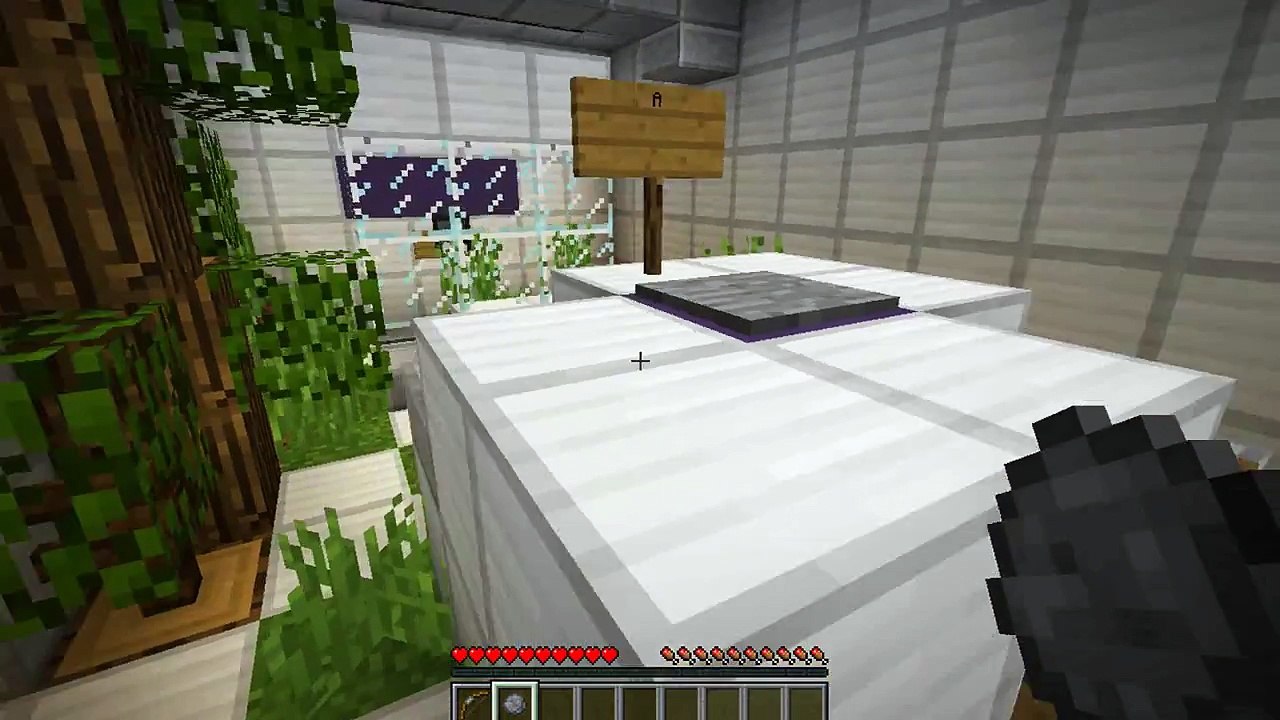 Minecraft Challenge - MY ROBOT FRIEND!