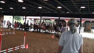 Meadow's first public Agility exposure