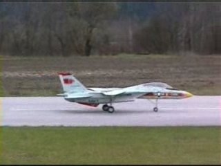 Aeromodelismo F-14