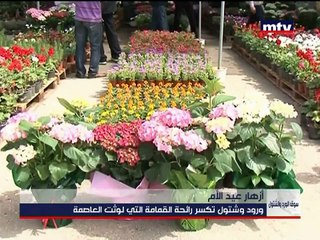 Prime Time News - 19/03/2016 - أزهار عيد الأم