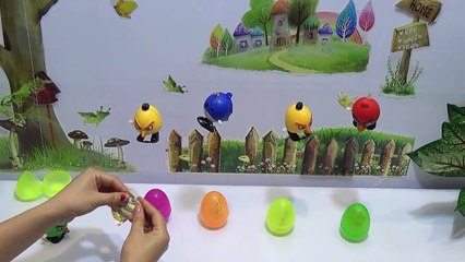 Surprise eggs  Lovely angry Birds  in the sky