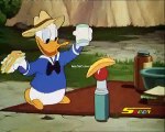 Donald Duck and Ants  Old Cartoons