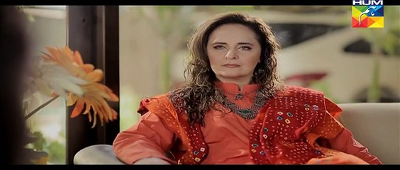 Tere Mere Beech Episode 17 on HUM TV - 20th March 2016