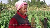 French Beans farmers on the benefits from the SMAP Training (Embu, Kenya)