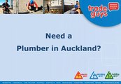 Electricians - Plumbing and Building Contractors Auckland