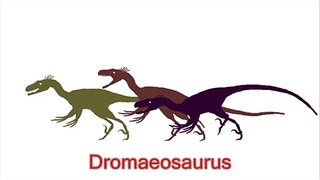 Carnivore Dinosaur Guide
