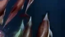 Amazing pack of dolphins swimming fast