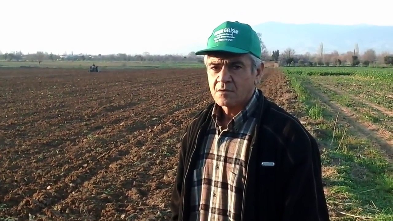 Patates Gübreleme, Sulama, Ekimi, Dikimi, Sökümü, Tohumu