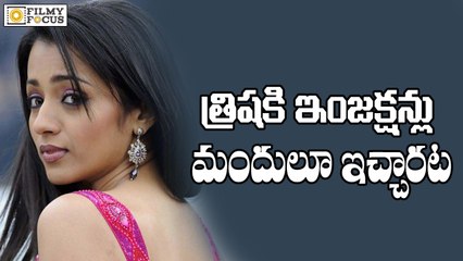 Nayaki Movie Director Praises Trisha for Dedication for Movies - Filmyfocus.com