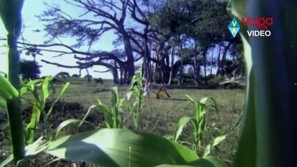 Bhakta Kannappa Movie Video Song - Sivasiva Sankara - Krishnam Raju, Vanisree