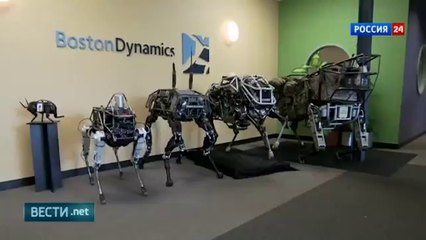 Google избавляется от "ужасных роботов" Boston Dynamics