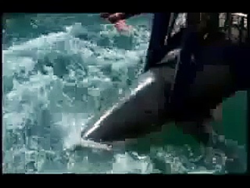 Daawo xayeesiin Libaax badeed Liqay Nin Oo Laga Soo Saarayo Ninkii Oo Nool