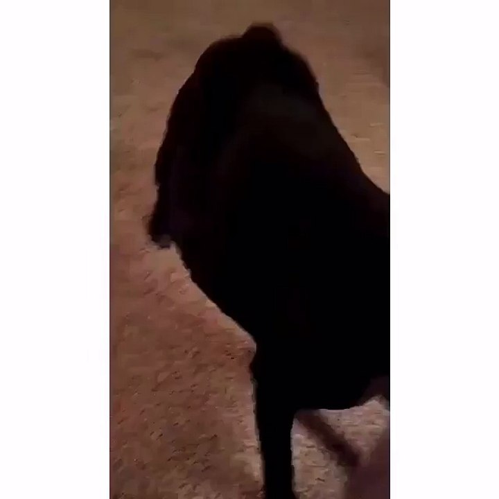 The floor is not your friend