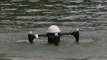 Ce Drone qui décolle sous l'eau est votre futur jouet préféré !