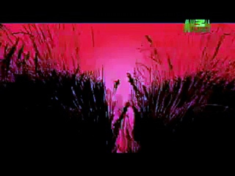 killer clip awsome