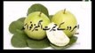 Amrood khane ke fayde Benefits of Guava