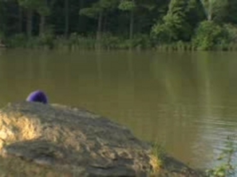 Polyphonic Spree - Hold Me Now