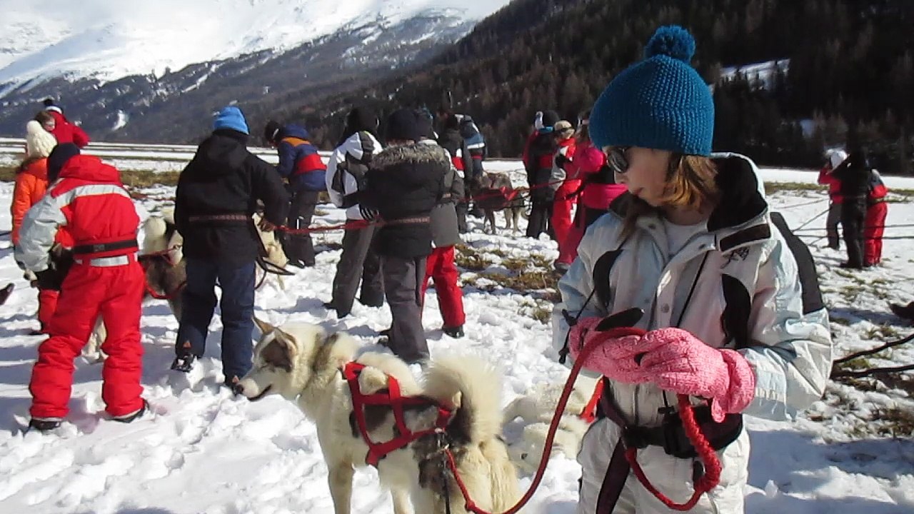 Cani-rando