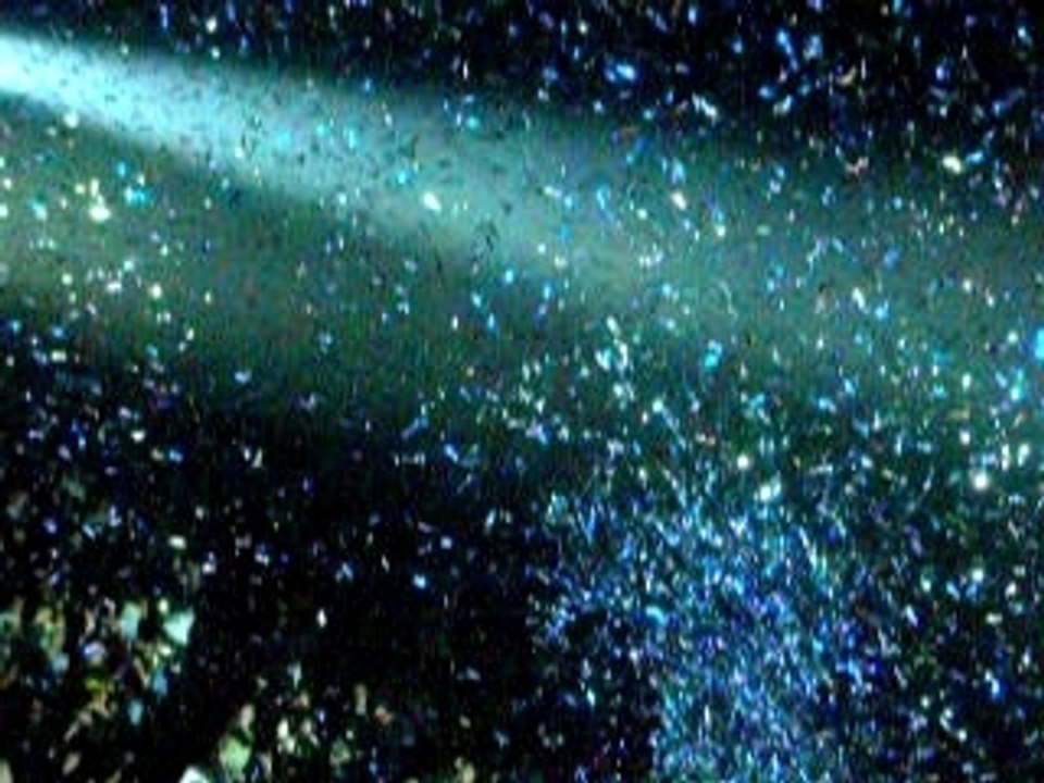 polnareff bercy 10 juin on ira tous au paradis (extrait2)