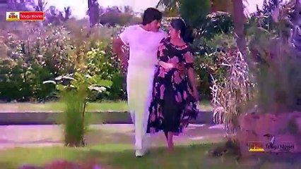 Chali Chaligaa Sayantram Song -  Prema Pichollu Video Songs - Chiranjeevi ,Radhika (FULL HD)