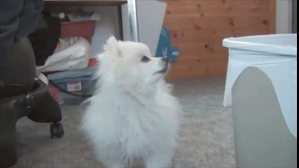 The Last of Us - DELETED CUTSCENE