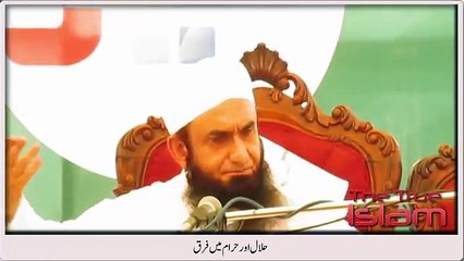 Why do we not see too many dogs together - Maulana Tariq Jameel.s comments - YouTube