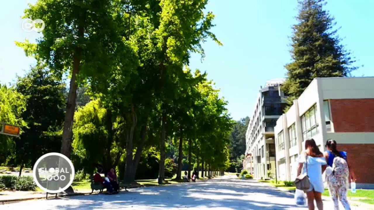 Chile: Rettung für den Nasenfrosch | Global 3000