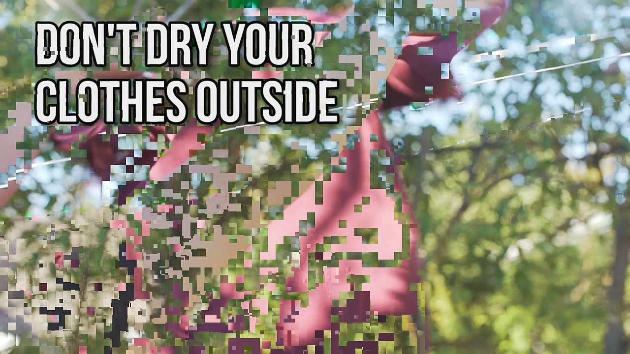 Healthy Living and Allergy Relief