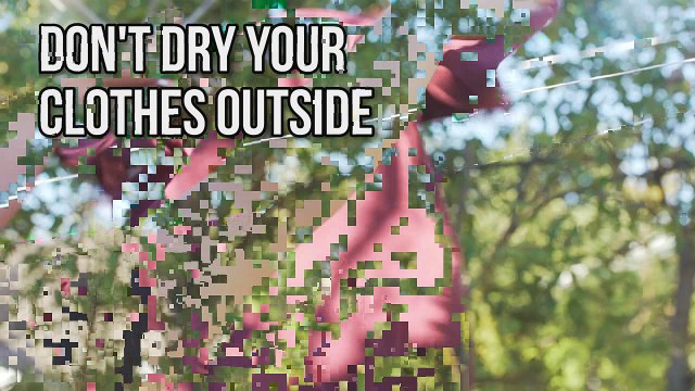 7 Tips for Pollen Allergies